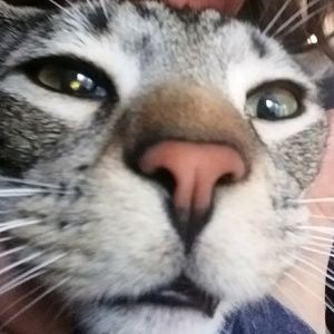 Meet your Posher, Eva